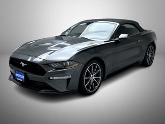 Used 2019 Ford Mustang Premium w/ Equipment Group 201A image 1
