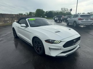 Used 2019 Ford Mustang Premium image 1