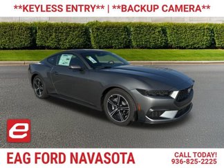 New 2025 Ford Mustang Coupe 360° Tour