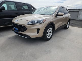 Used 2020 Ford Escape SE image 1