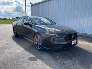 Used 2024 Honda Accord Sport image 1