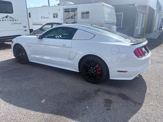 Used 2015 Ford Mustang GT Premium w/ 50 Years Appearance Package image 1