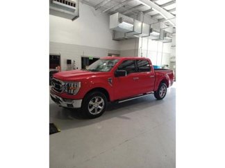 Certified 2023 Ford F150 XLT w/ Equipment Group 302A High image 1