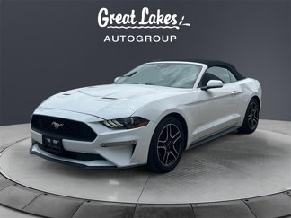Used 2022 Ford Mustang Premium image 1