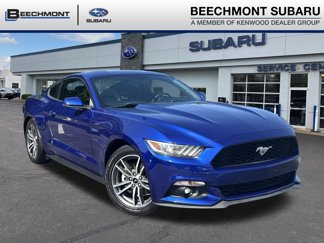 Used 2016 Ford Mustang Premium w/ Equipment Group 201A image 1