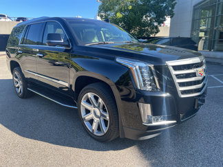 Used 2015 Cadillac Escalade Luxury image 1