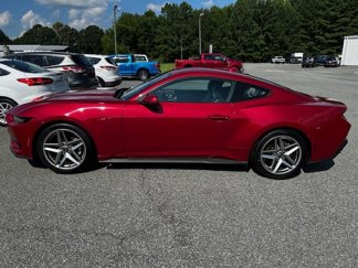 Used 2024 Ford Mustang Premium image 1