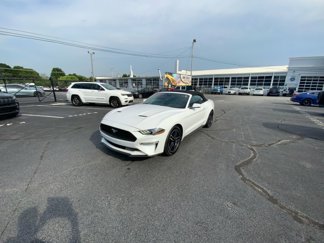 Used 2022 Ford Mustang Premium w/ Equipment Group 201A image 1