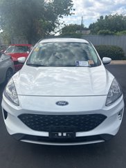 Used 2021 Ford Escape SEL image 1