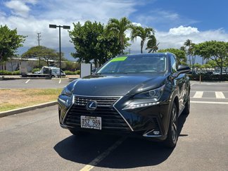 Used 2019 Lexus NX 300h AWD image 1