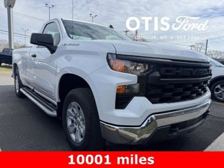 Used 2024 Chevrolet Silverado 1500 W/T w/ WT Fleet Convenience Package image 1