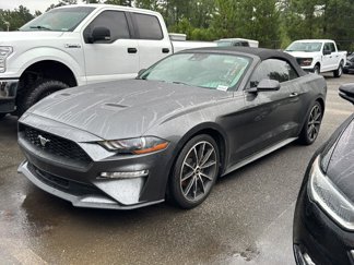 Used 2019 Ford Mustang Premium w/ Equipment Group 201A image 1