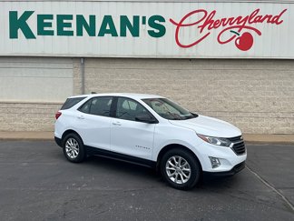 Used 2019 Chevrolet Equinox LS image 1