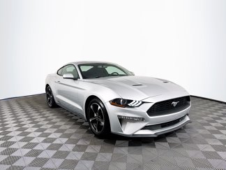 Used 2019 Ford Mustang Coupe image 1