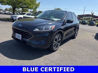 Used 2021 Ford Escape SE w/ SE Sport Appearance Package image 1