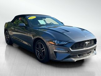 Used 2023 Ford Mustang Premium image 1