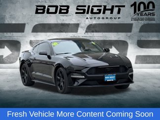 Used 2019 Ford Mustang Coupe w/ Equipment Group 101A image 1
