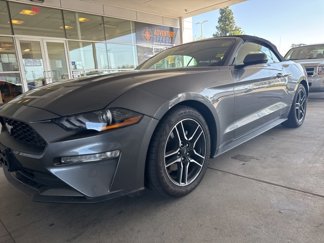 Used 2023 Ford Mustang Premium image 1