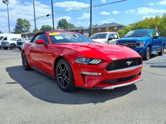Used 2018 Ford Mustang Premium w/ Equipment Group 201A video 1