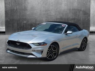 Used 2019 Ford Mustang Premium image 1