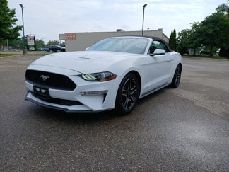 Used 2020 Ford Mustang Premium image 1