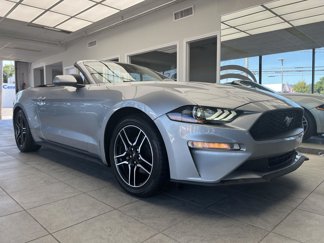 Used 2021 Ford Mustang Premium image 1