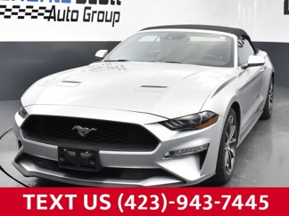 Used 2019 Ford Mustang Premium w/ Equipment Group 201A image 1