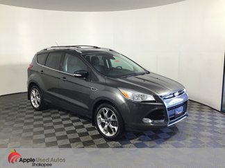 Used 2016 Ford Escape Titanium image 1