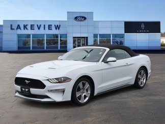 Used 2020 Ford Mustang Premium image 1