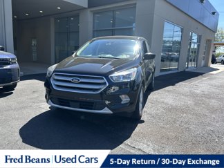 Used 2019 Ford Escape SE image 1