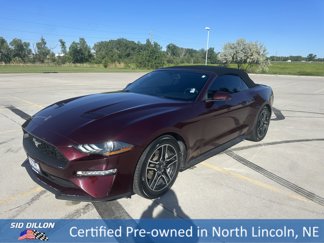 Used 2018 Ford Mustang Premium w/ Equipment Group 201A image 1