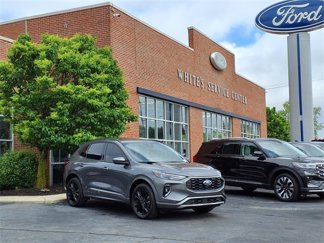 Used 2023 Ford Escape ST-Line Elite image 1