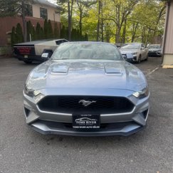 Used 2022 Ford Mustang Premium image 1