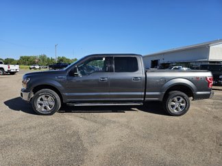 Used 2019 Ford F150 XLT w/ Equipment Group 302A Luxury image 1
