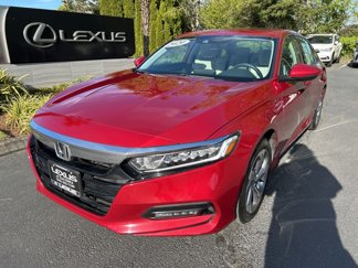 Used 2020 Honda Accord EX-L image 1