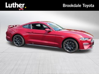 Used 2019 Ford Mustang Coupe w/ Ecoboost Performance Package image 1