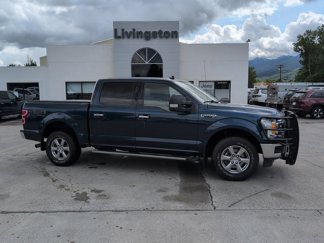Used 2019 Ford F150 XLT w/ Equipment Group 302A Luxury image 1