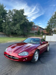 Used 1997 Jaguar XK8 Convertible image 1