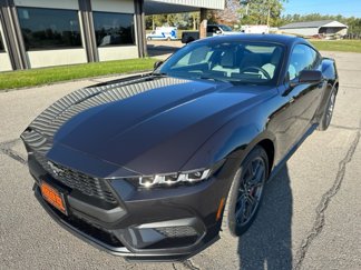 New 2024 Ford Mustang Coupe w/ 2.3L High Performance Package image 1