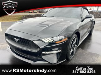 Used 2019 Ford Mustang Premium image 1