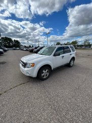 Used 2011 Ford Escape XLT image 1