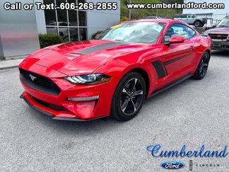 Used 2023 Ford Mustang Coupe w/ Equipment Group 101A image 1