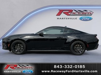 New 2025 Ford Mustang Coupe w/ Mustang Nite Pony Package image 1