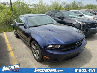 Used 2010 Ford Mustang Premium image 1