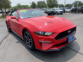 Used 2022 Ford Mustang Premium image 1