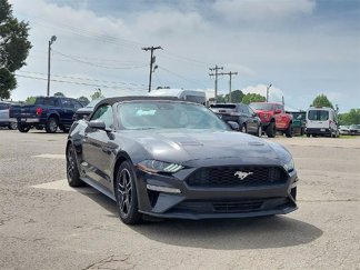 Certified 2022 Ford Mustang Premium image 1