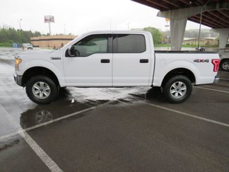 Used 2016 Ford F150 XLT image 1