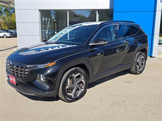 Used 2022 Hyundai Tucson Limited image 1