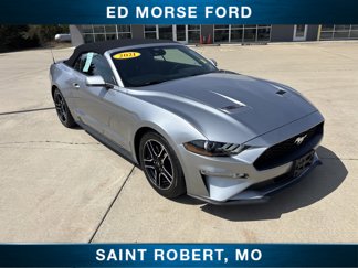 Used 2021 Ford Mustang Premium image 1