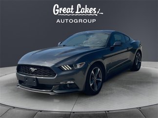 Used 2015 Ford Mustang Coupe w/ Equipment Group 051A image 1